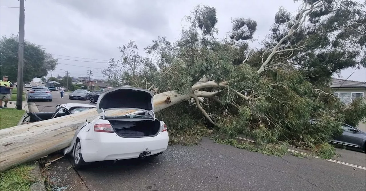 Sydney Batters Heavy Winds, Leaving Thousands Without Power