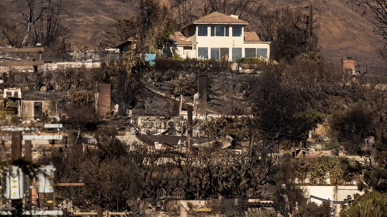 LA wildfires create spike in rent prices, forcing rental listing sites to act