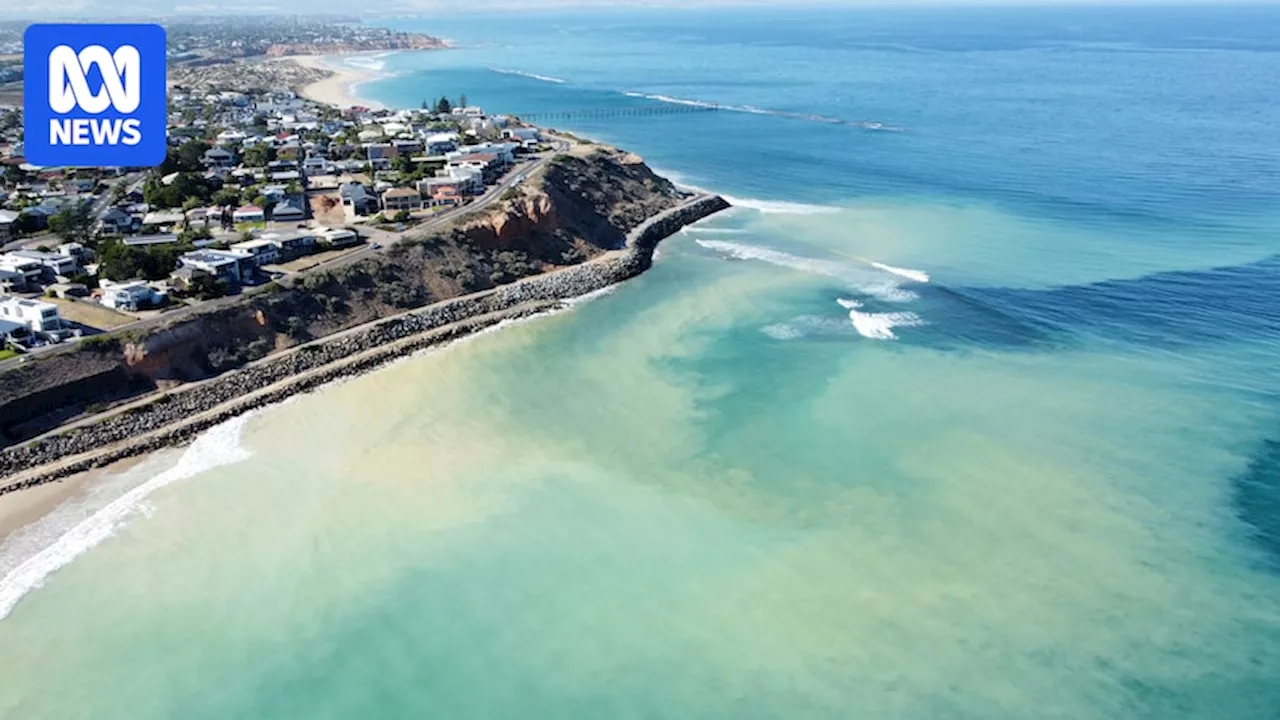 Clay Sediment Plume Threatens Marine Park Amid Seawall Construction in South Australia