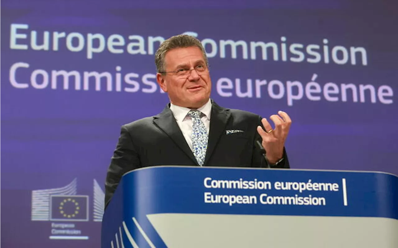 EU requests review of investments in semiconductors, AI