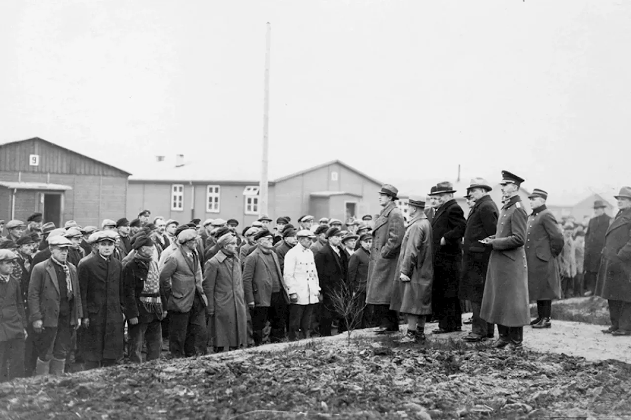 Изображая жертву. Сдавала людей в гестапо, но числится репрессированной