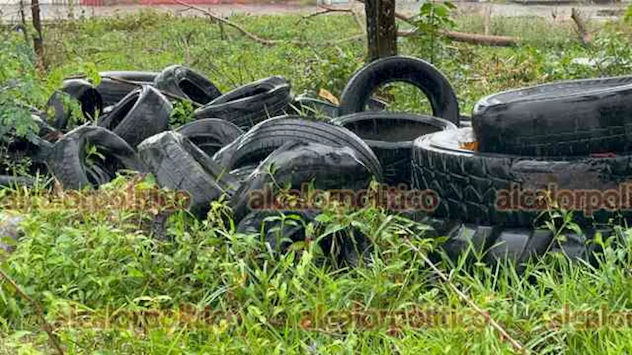 Programa Patio Limpio Beneficia a 95 mil Personas en Coatzacoalcos durante 2024