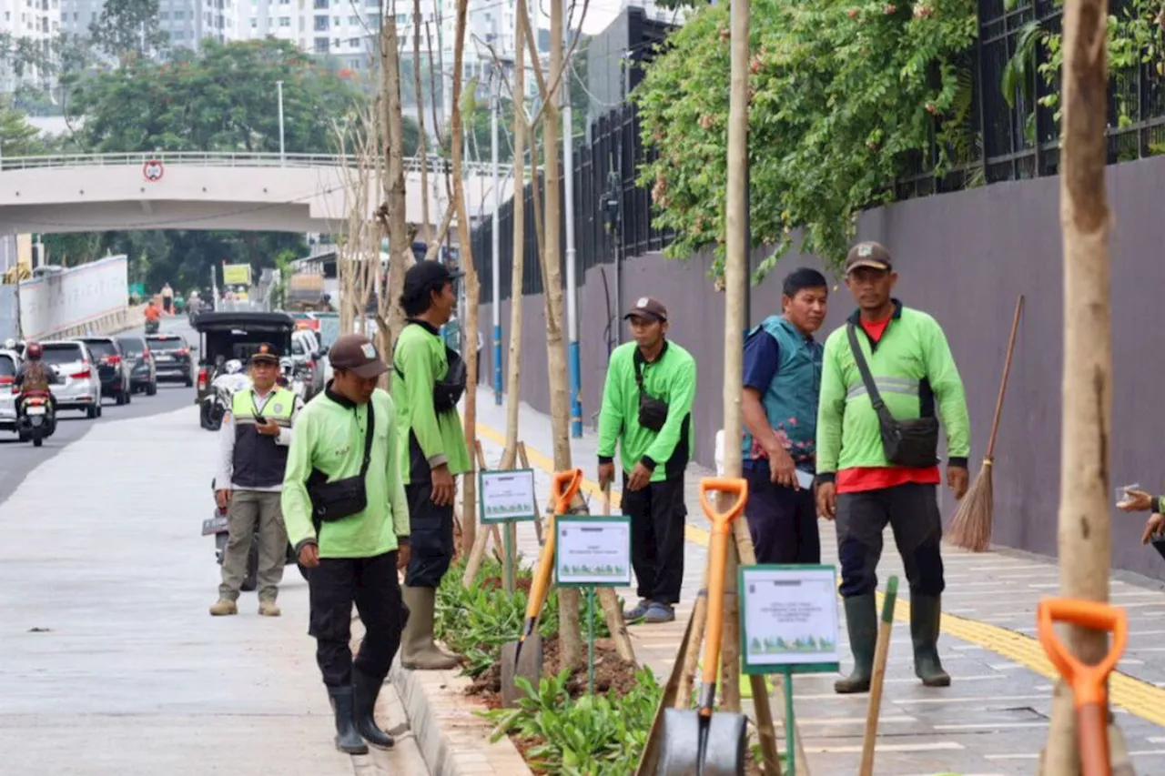 Jakarta Pusat Genjot Penghijauan dengan Penataan Pedestrian dan Program 'Jumat Menanam'