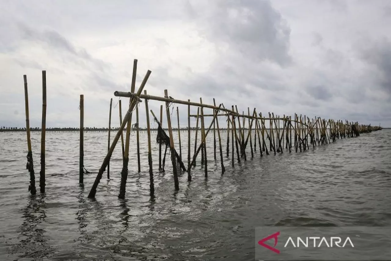 Walhi Desak Pembongkaran Pagar Laut di Pantura Tangerang