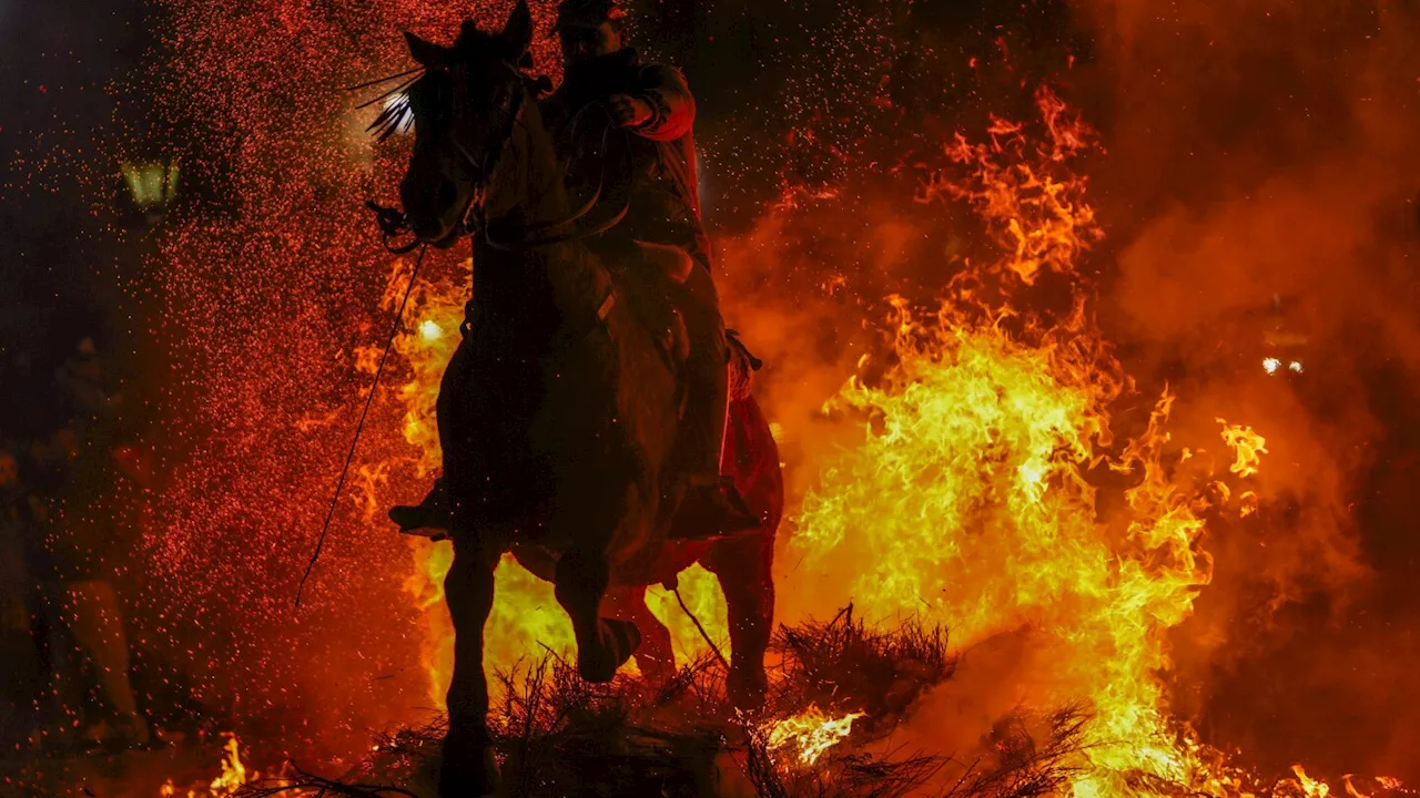 Horses Leap Through Flames in Centuries-Old Spanish Ritual