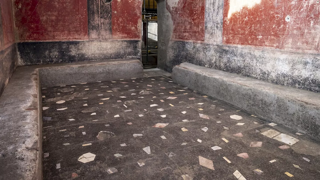 New Pompeii excavation reveals a large private thermal complex built 2,000 years ago