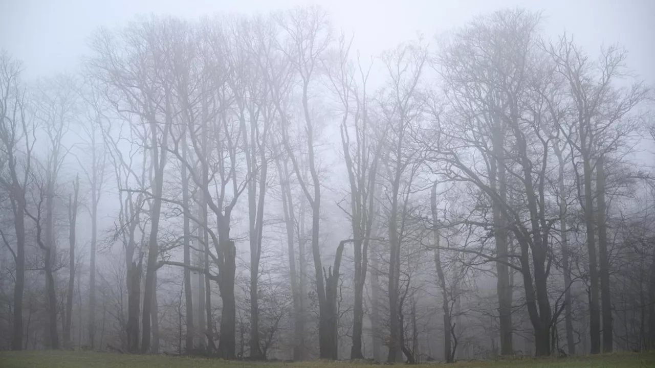 Bayern-Wetter im Ticker: Nebel in Bayern am Freitag