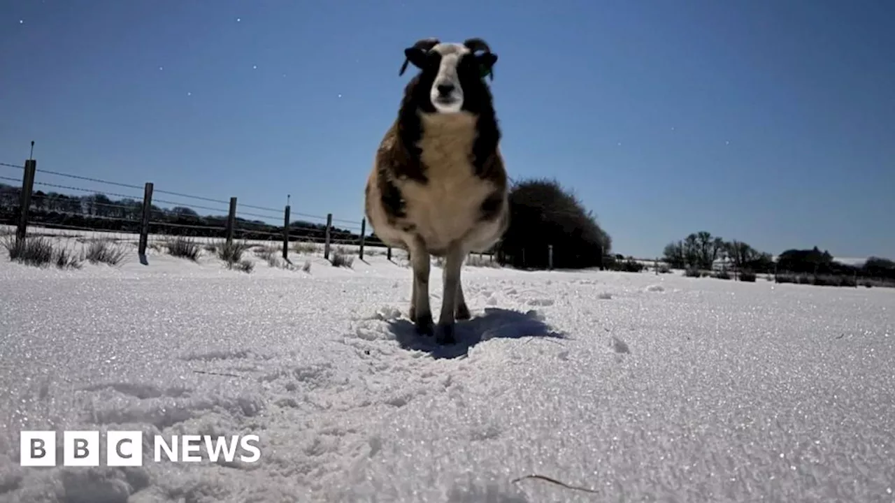 Readers Share Stunning Winter Scenes Across Scotland