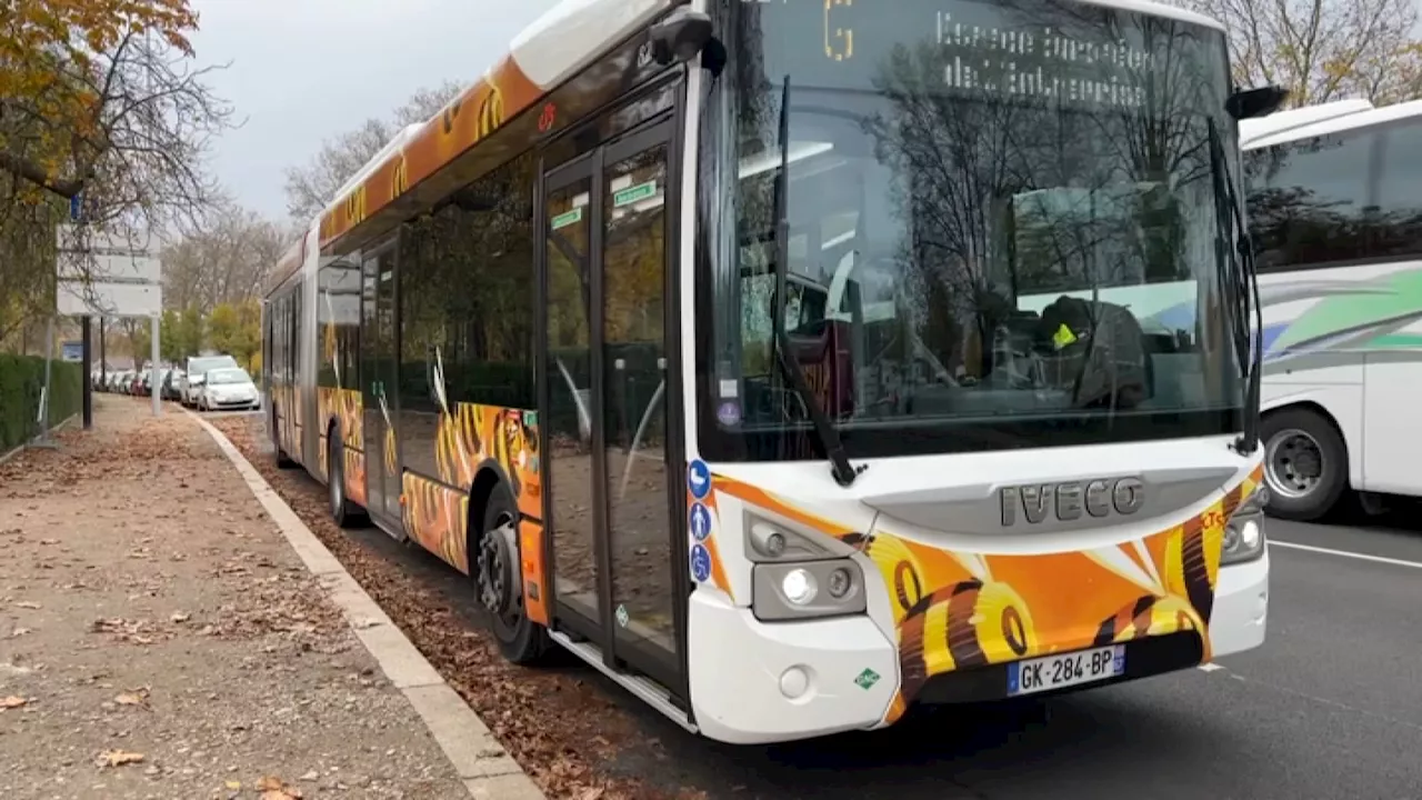 Les bus seront plus nombreux à Strasbourg après l'accident de tramway