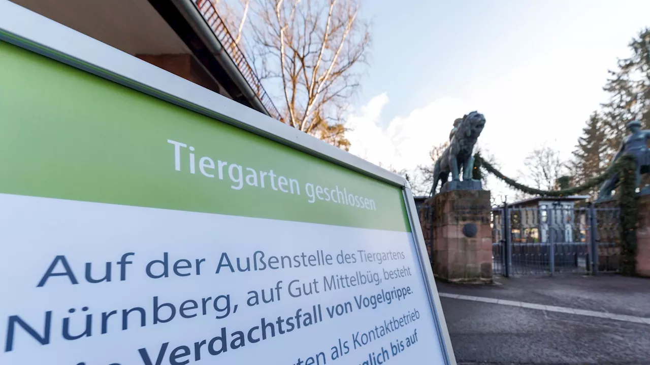 Vogelgrippe-Fall im Nürnberger Tiergarten