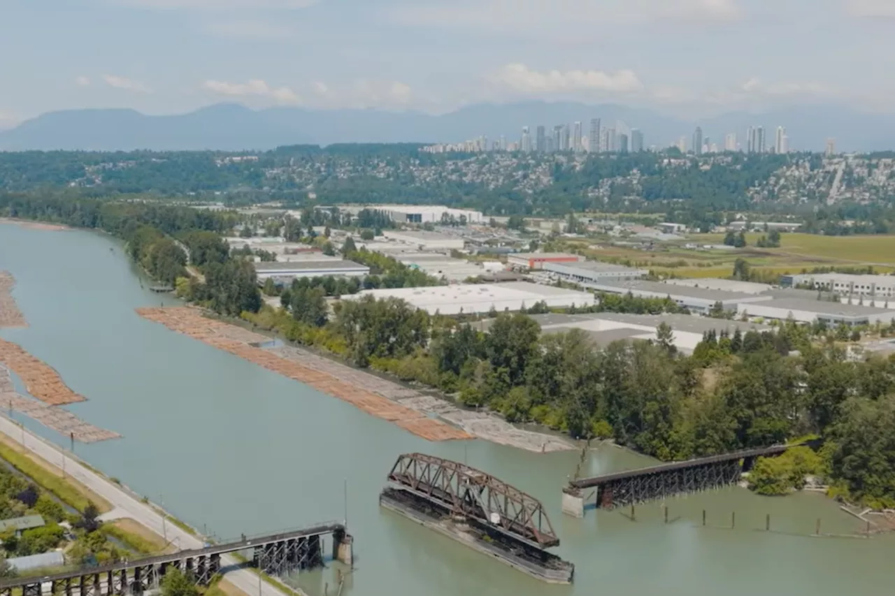 Burnaby Councillors Push for Climate Resilience in City's Growth Plan