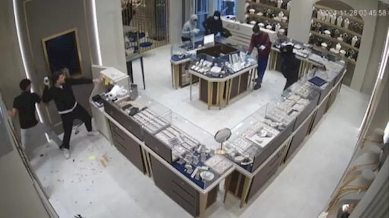 Jewelry store owners call for 'serious action' amid rise in robberies in Peel Region