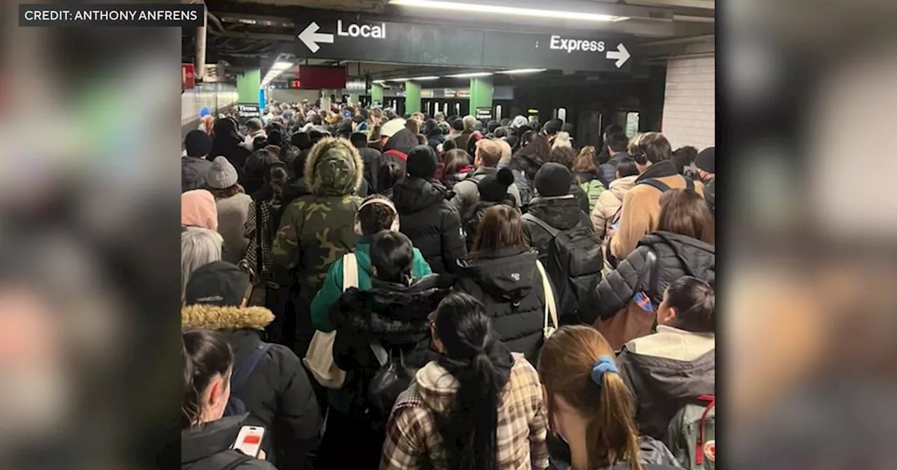 NY Subway Service Restored After Power Failure During Rush Hour