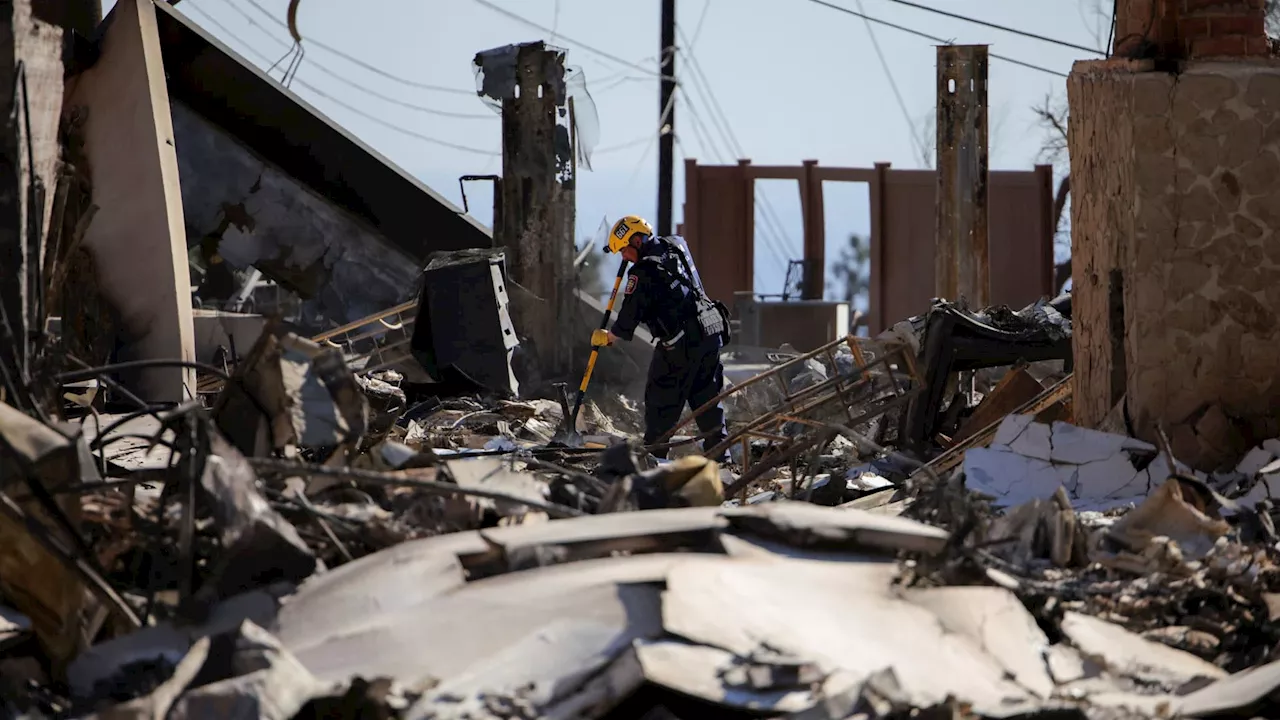 California Wildfires: Minimal Impact Expected on Municipal Bond Market