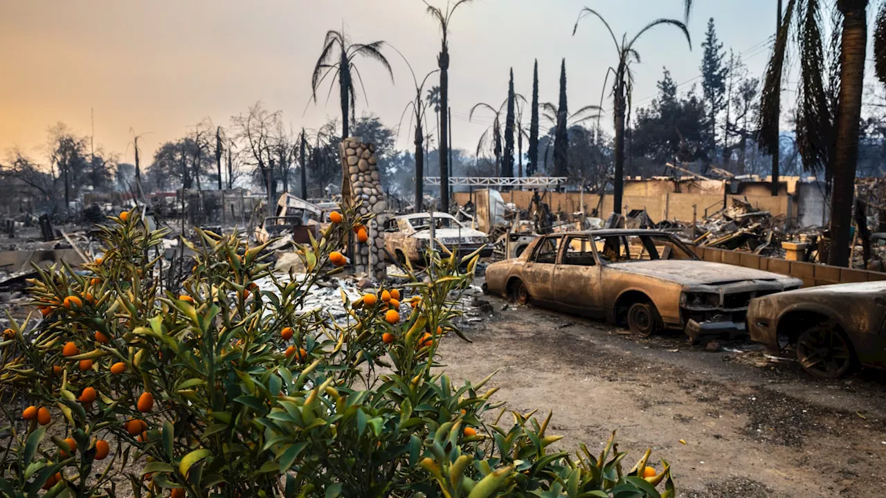 Wildfire Victims to Receive $770 One-Time Payment