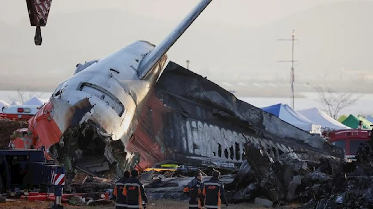 Penemuan Bulu Burung dan Darah di Mesin Pesawat Jeju Air Benarkan Tabrakan