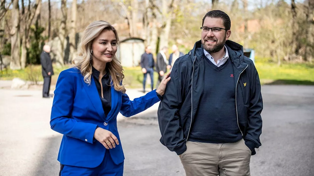KD öppnar för att sitta i regering med SD