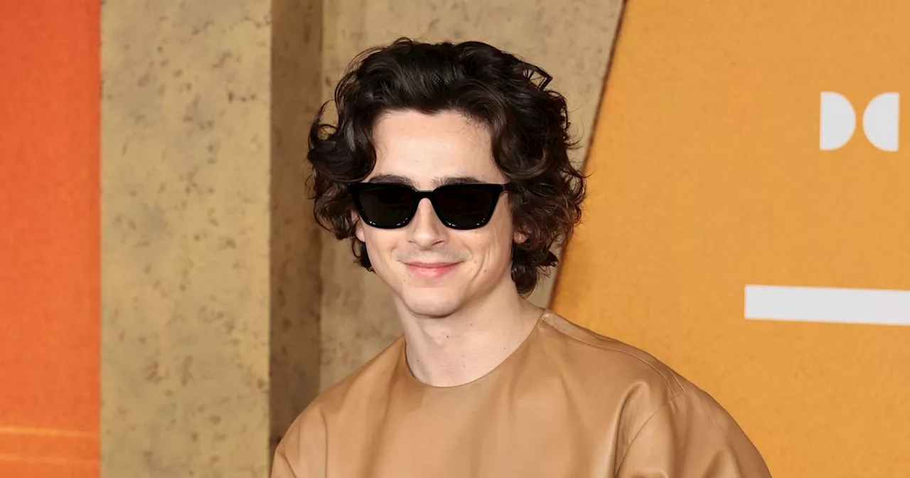 Inside Timothée Chalamet's life including romantic link to Madonna