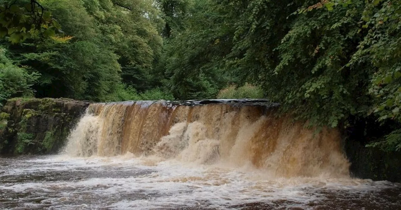 The Glasgow riverside hike near 'Scotland's best fish and chips' restaurant