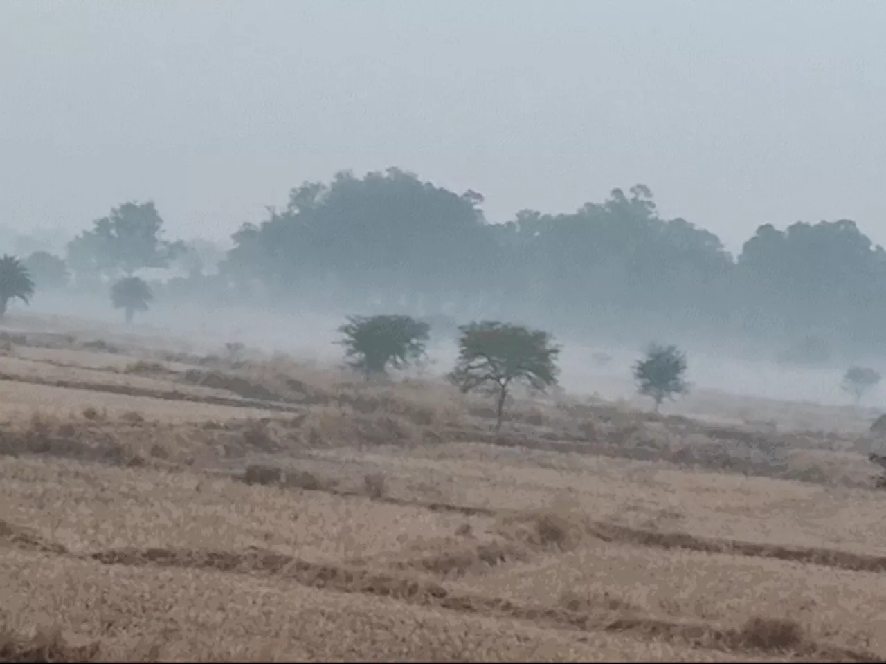 छत्तीसगढ़ में ठंड का वापसी, तापमान में गिरावट