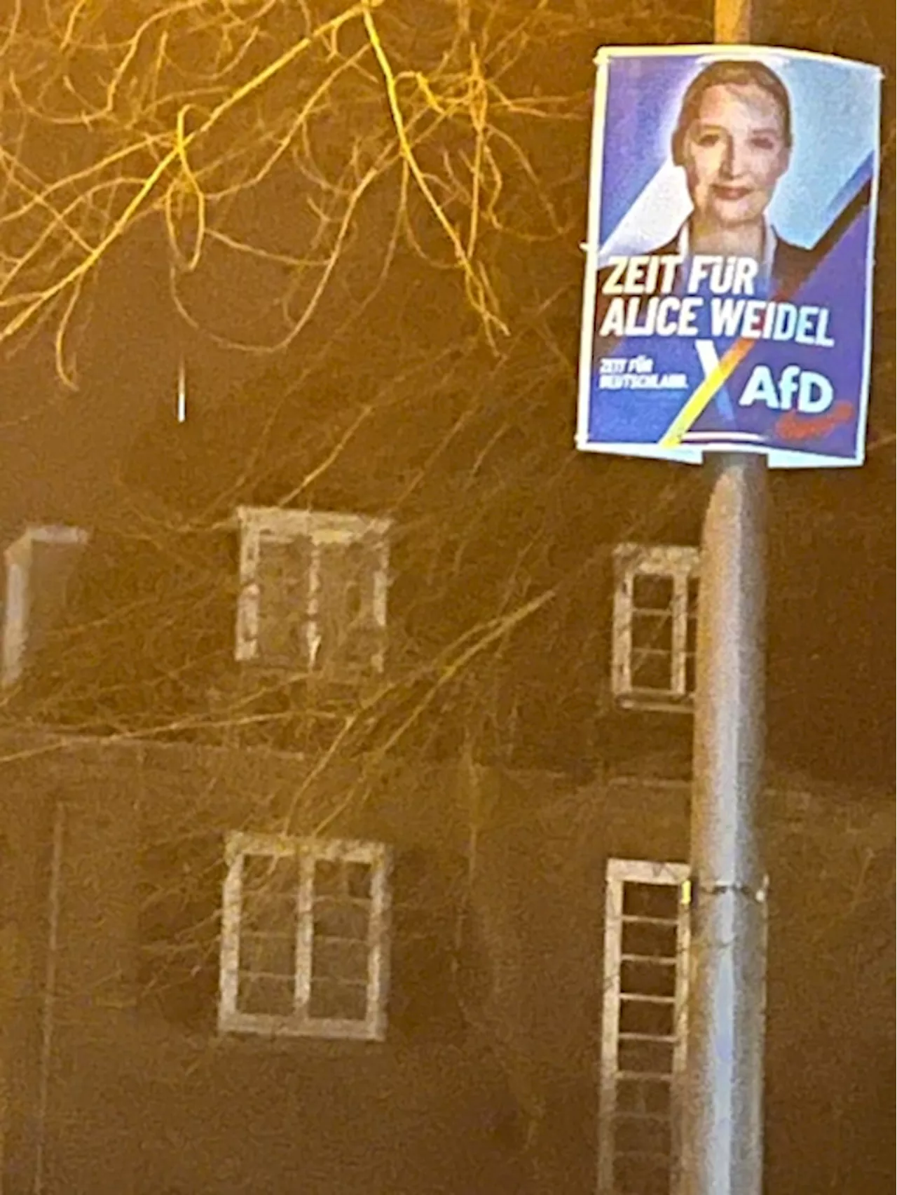 Köln: AfD-Wahlplakat mit Alice Weidel sorgt für Ärger