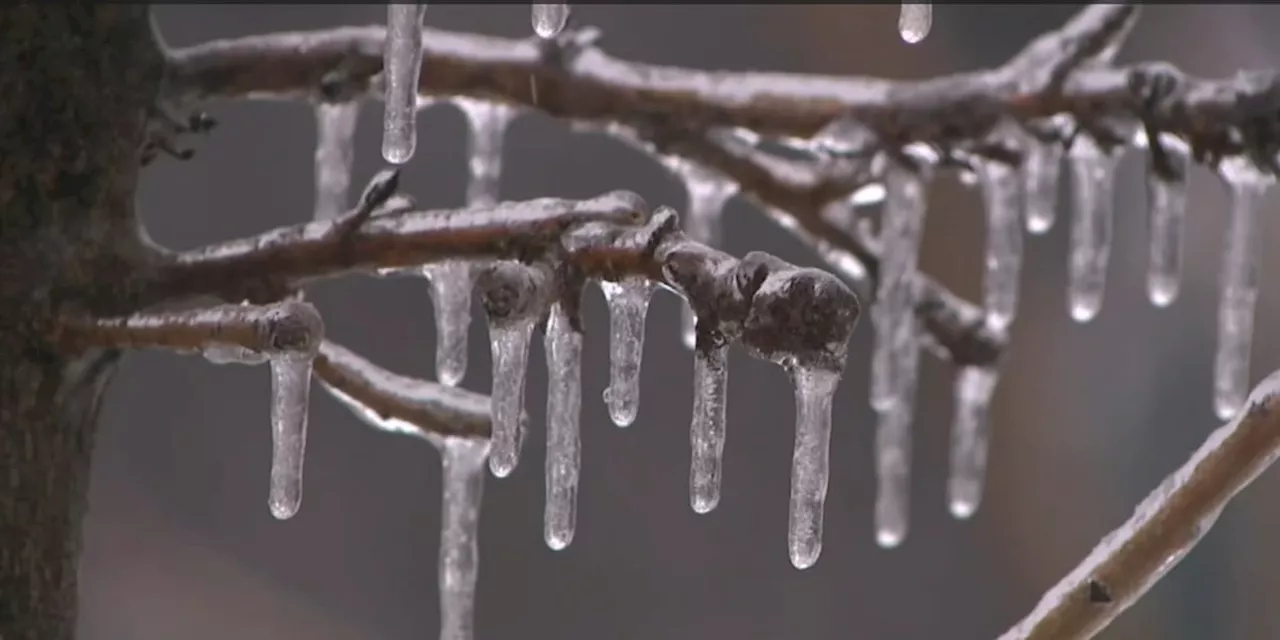 Baldwin County Prepares for Winter Weather