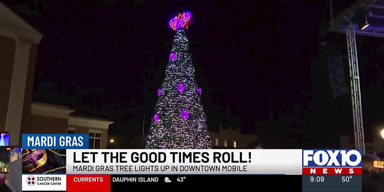 Mobile Lights Up Mardi Gras Tree, Emphasizes Safety for Festive Season