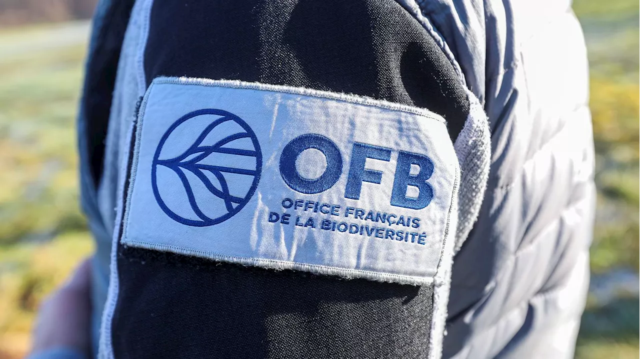 Tensions entre l'OFB et les syndicats agricoles