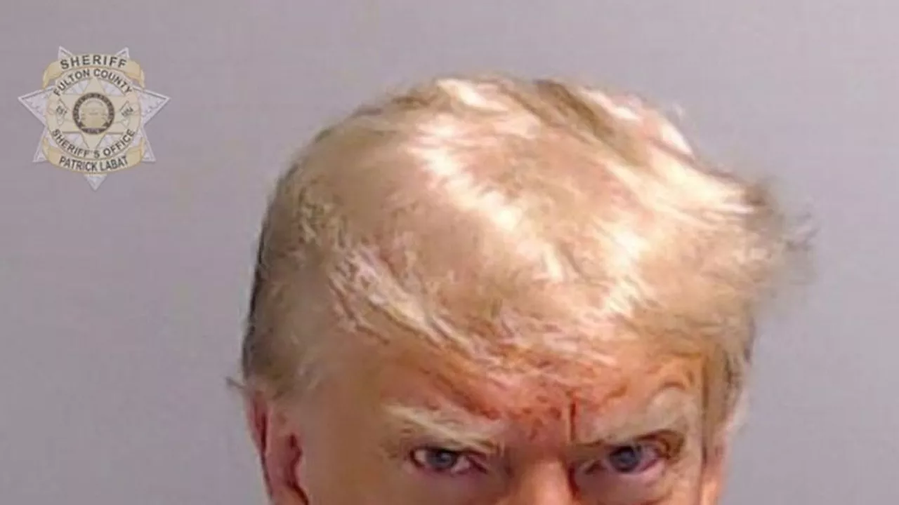 Offizielles Präsidenten-Portrait: Donald Trump stellt Polizeifoto nach