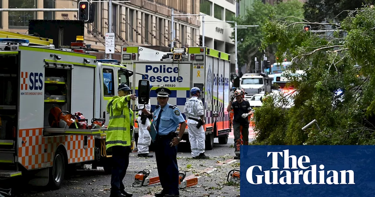 Australia’s wild weather continues with more storms forecast for NSW and cyclone forming off WA