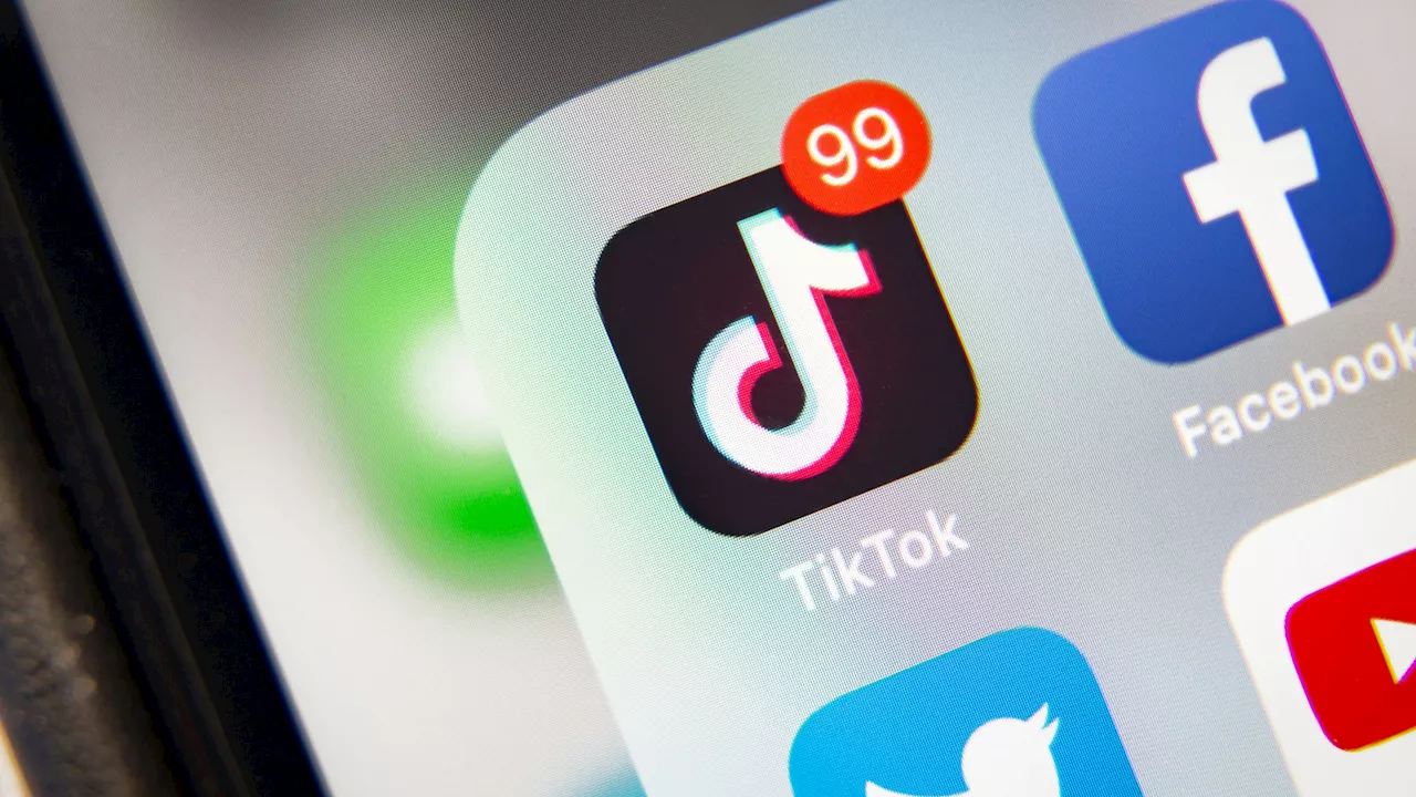 TikTok-Verbot in den USA: Trump will App erhalten