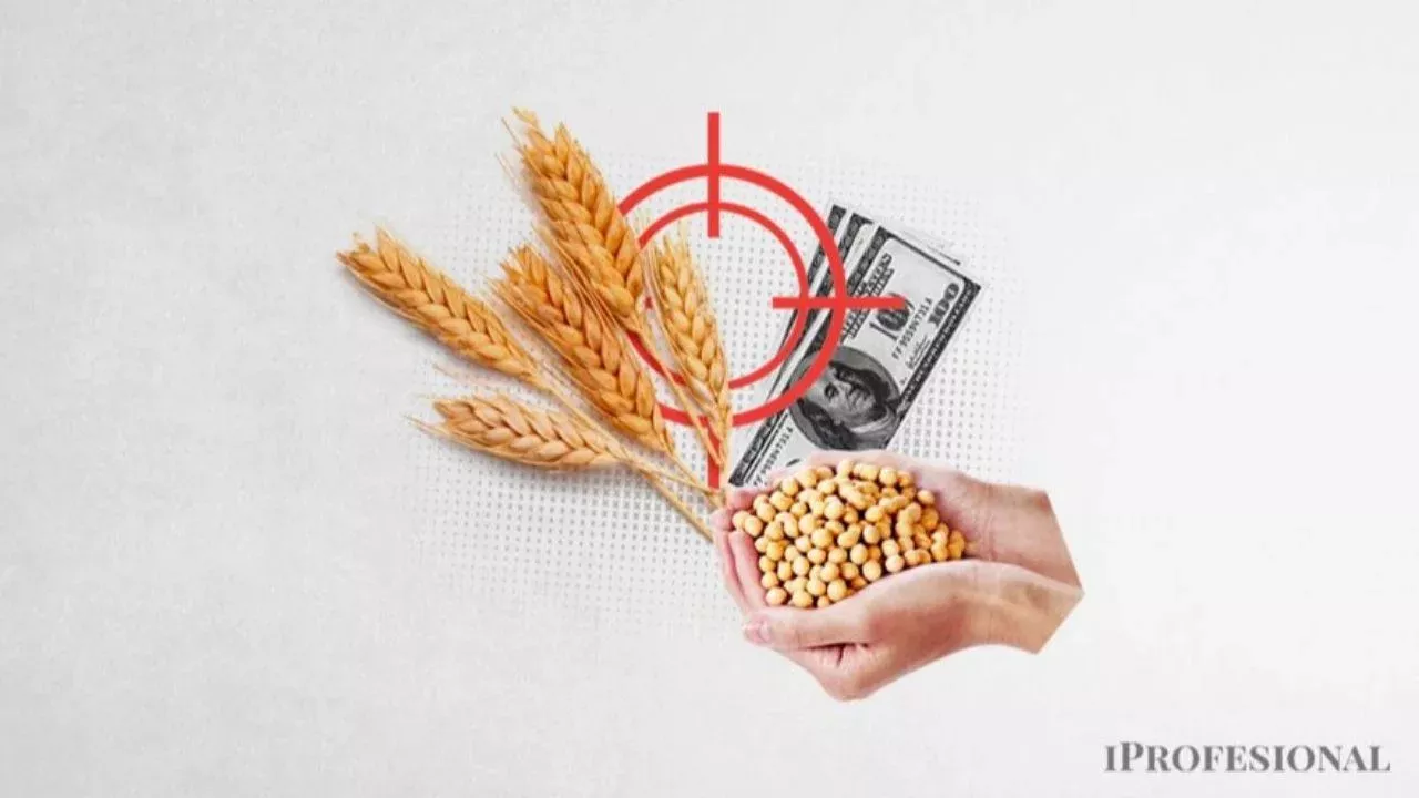 Alerta por la próxima cosecha: sequía amenaza producción de soja y maíz en Argentina