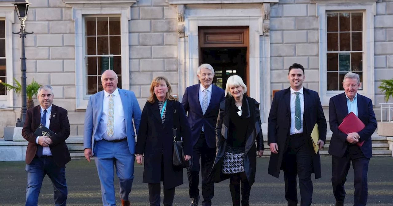 Irish Independents Seek Technical Group Rights Amidst Opposition Outrage