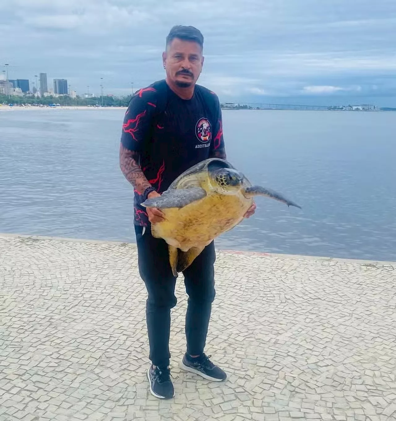 Homem conta como libertou tartaruga marinha que era carregada nas ruas do Rio