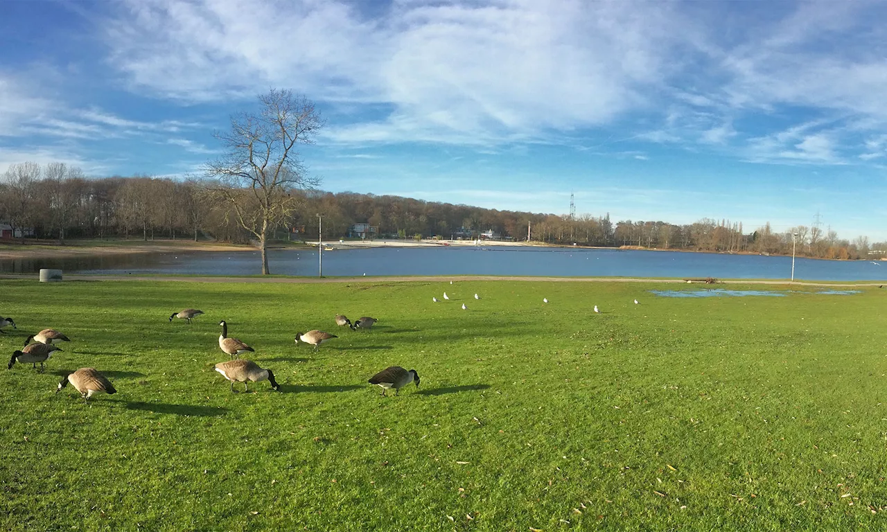 Ein Spaziergang rund um den Fühlinger See