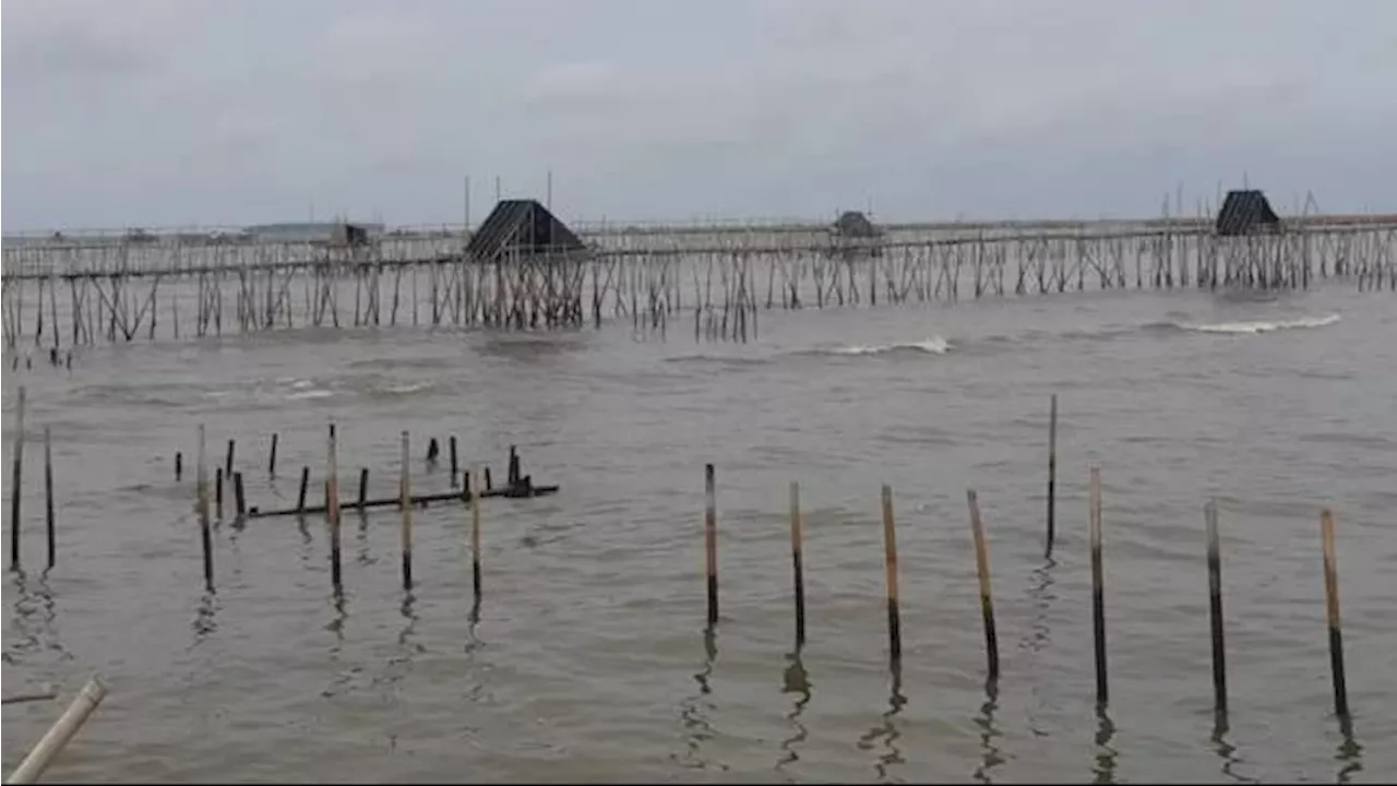 Rangkuman Polemik Pagar Laut Misterius di Tangerang, Bagaimana Respons Pemerintah dan Masyarakat?