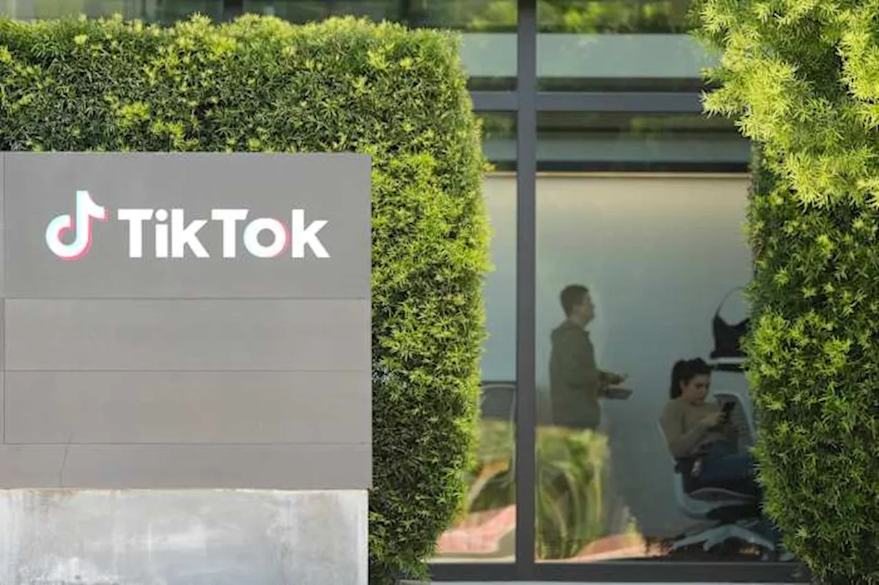 How will Houston influencers, companies manage marketing without TikTok?