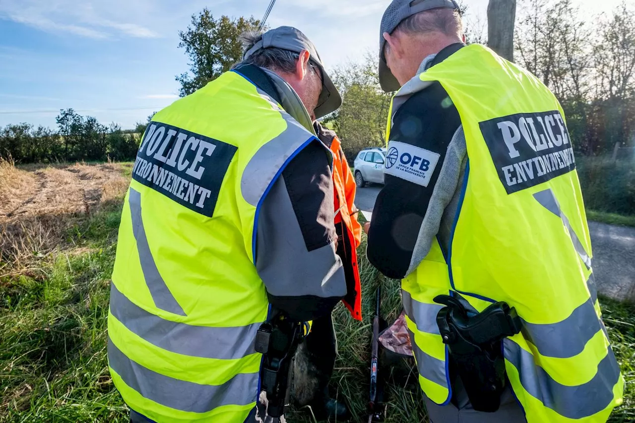 L’Office français de la biodiversité attaqué de toute part, sa présidente « en a assez »