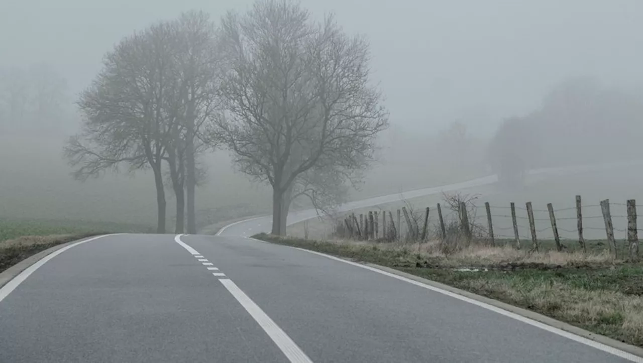 Météo : le Sud-Ouest se réveille dans le brouillard, givrant localement, ce vendredi matin