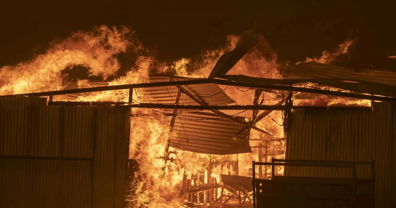 Fire lessons from the Australian capital, where a 2003 inferno changed everything