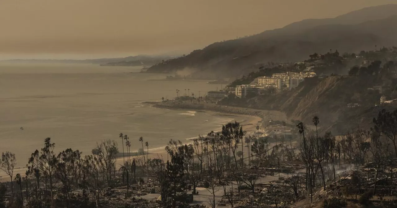 Los Angeles Wildfires: A Cruel Ironic Twist for the 2028 Olympics