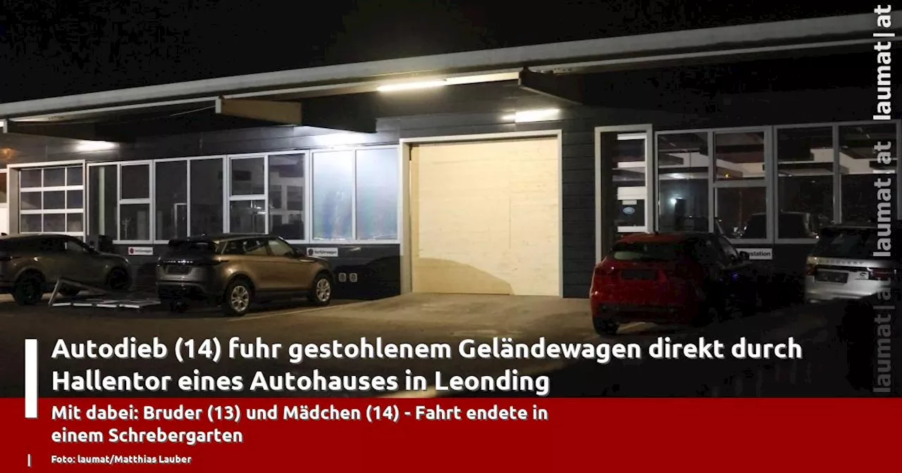 14-Jähriger Autodieb verursacht großen Sachschaden in Leonding