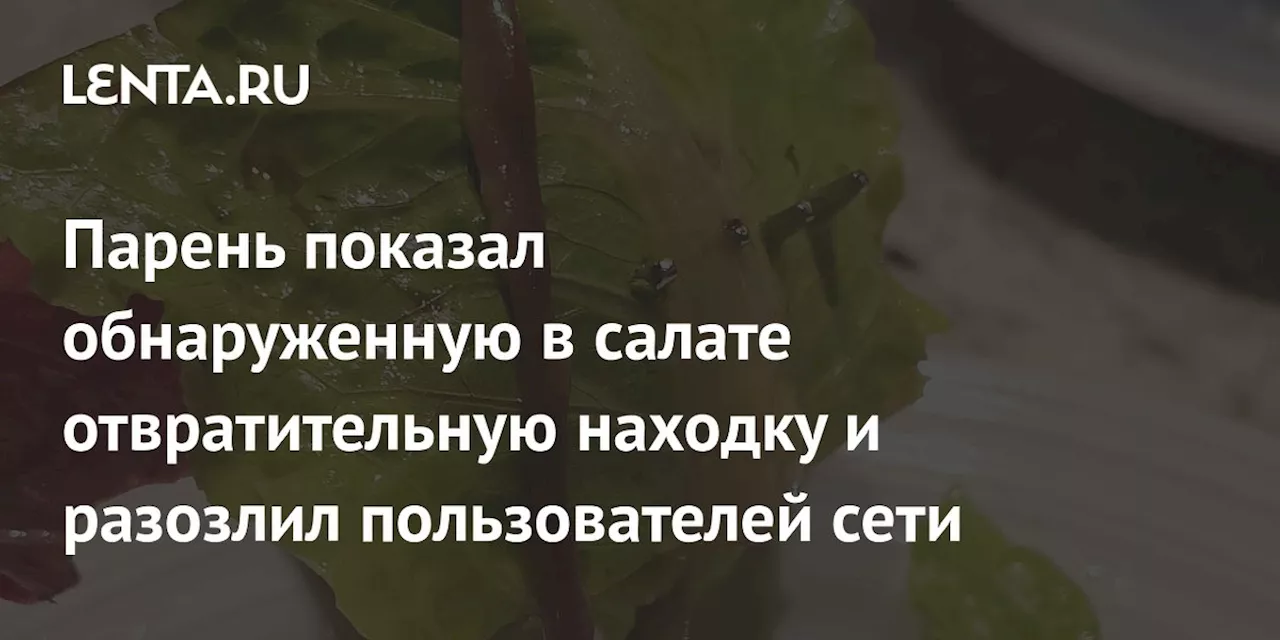 Червь в салате: Путешественник обнаружил незваного гостя на круизном лайнере