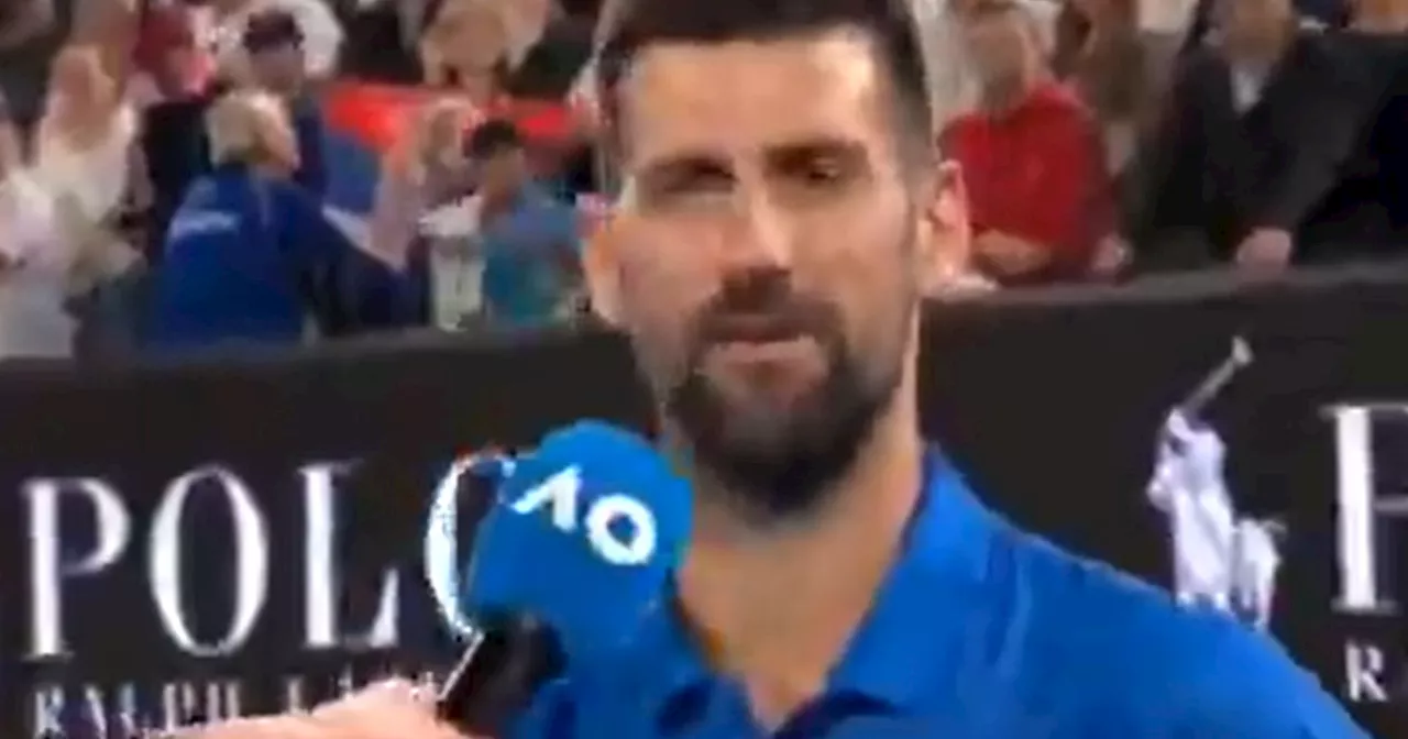 Djokovic sfida uno spettatore dopo la vittoria. 'Vieni qui!',