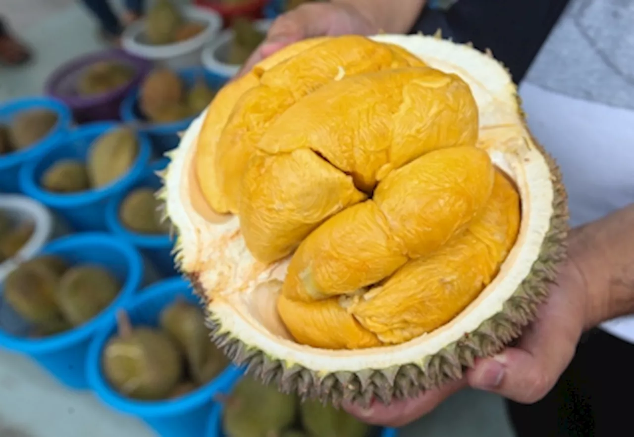 Malaysia Declares 117 Foods as National Heritage