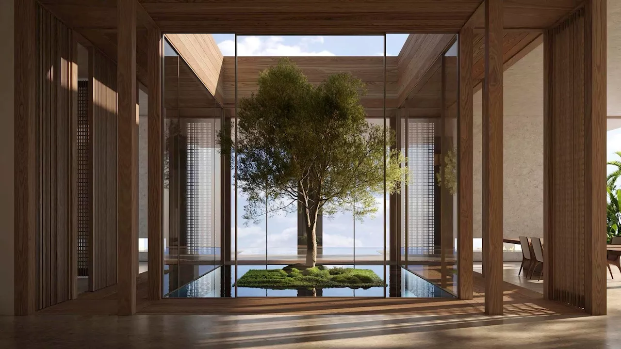 Bringing the Outdoors In: How Trees Are Transforming Architecture