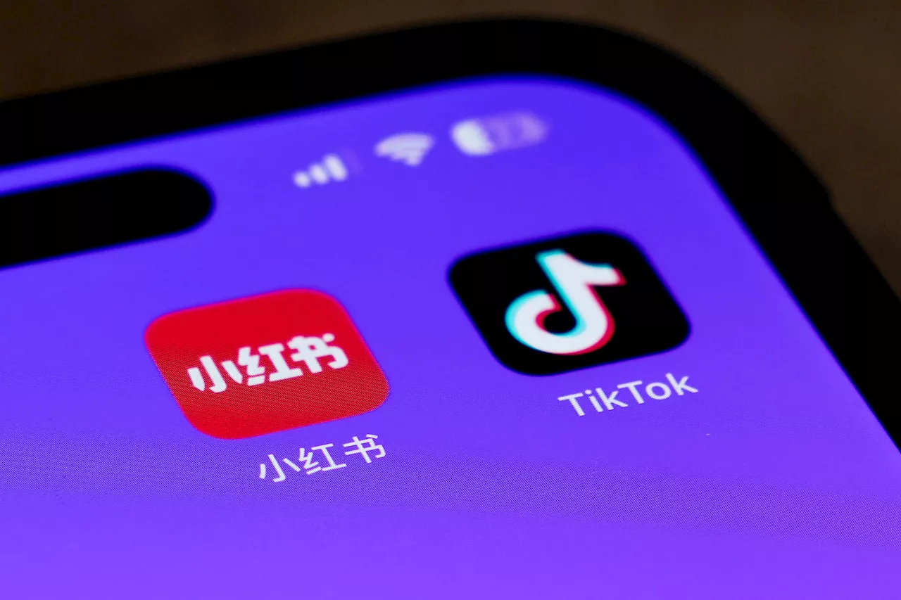 TikTok Ban Imminent: Users Flock to Alternatives