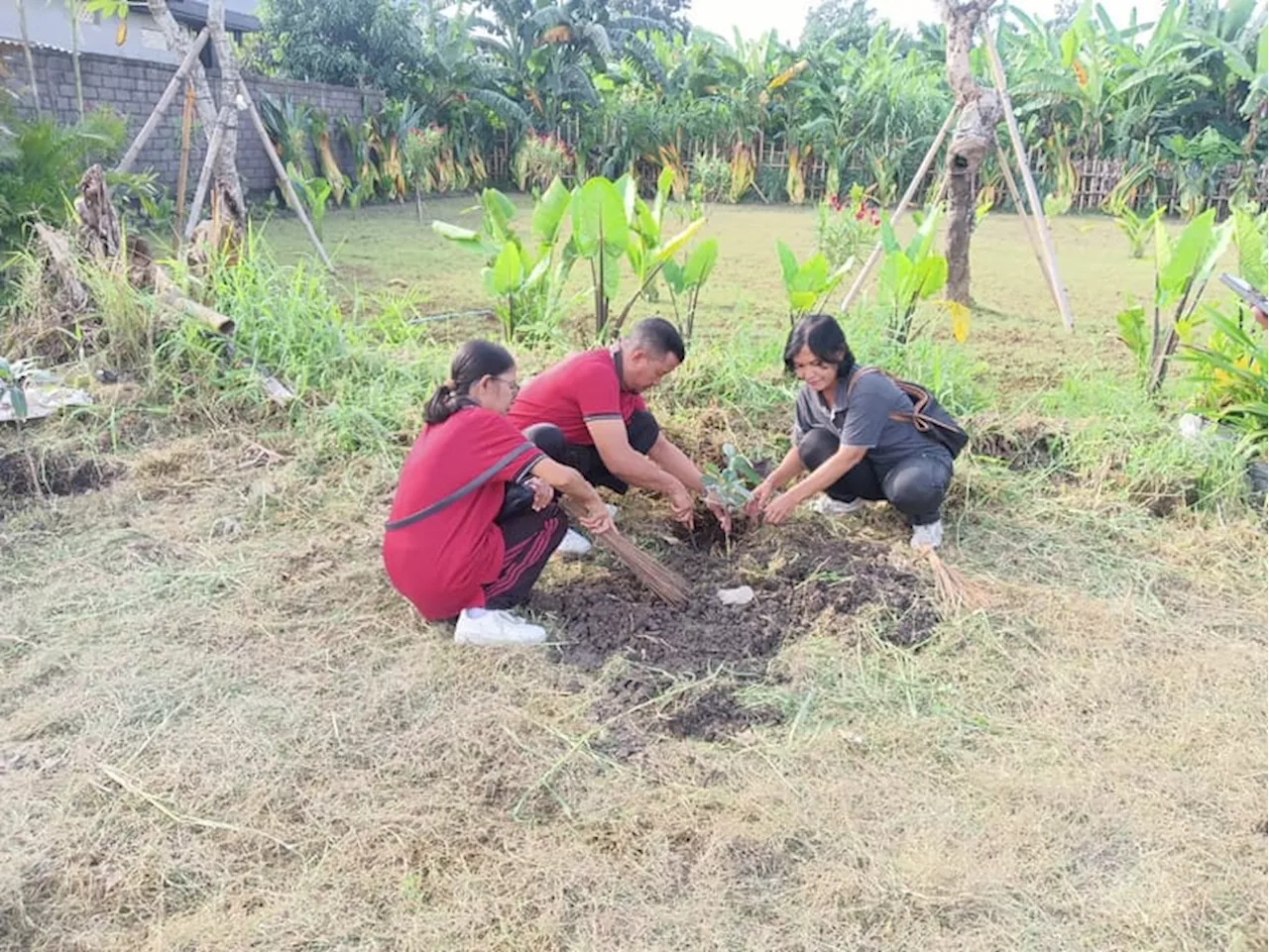 Desa Kesiman Kertalangu Rayakan Hari Desa Nasional dengan Penanaman Pohon dan Sosialisasi Pemilahan Sampah