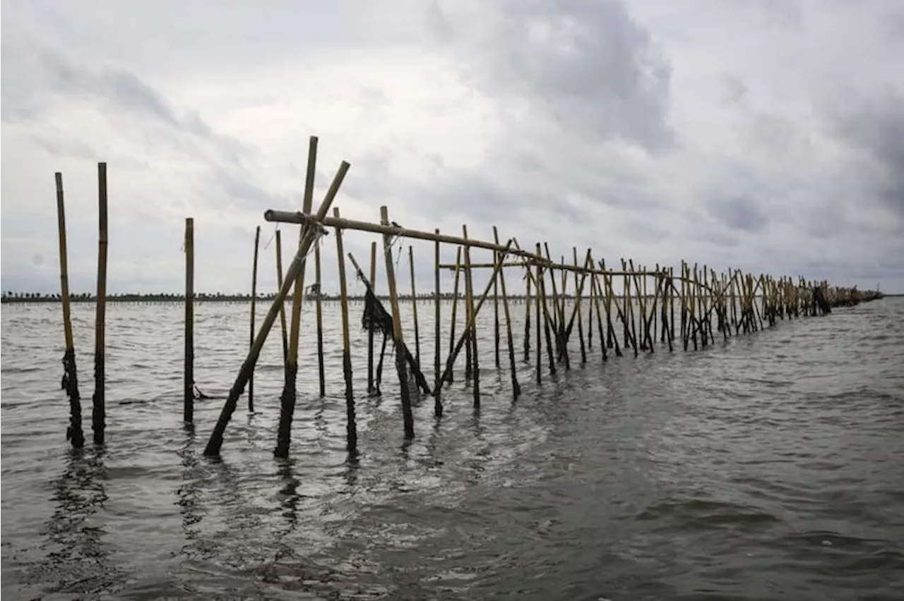 Muhammadiyah Duga Ada Keterkaitan PIK 2 dengan Pagar Laut di Tangerang