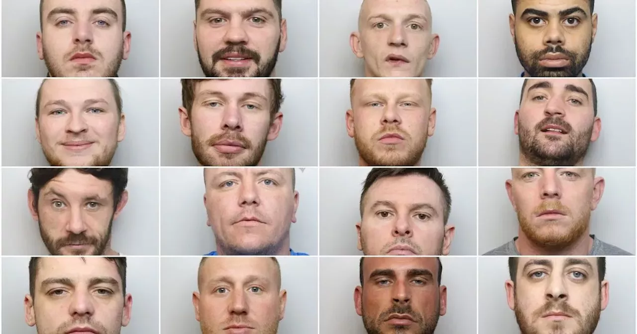 Drug Gang Dismantled, 16 Members Jailed for Over 80 Years